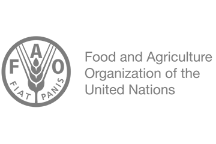Food and Agriculture Organisation of the United Nations logo