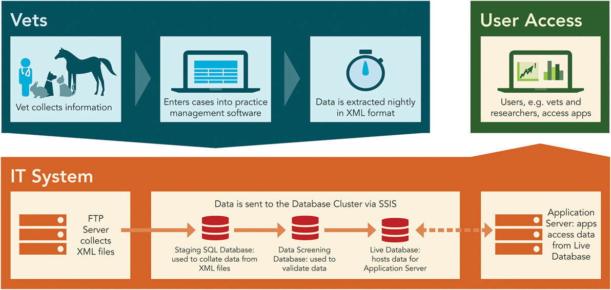 Data collection process project image