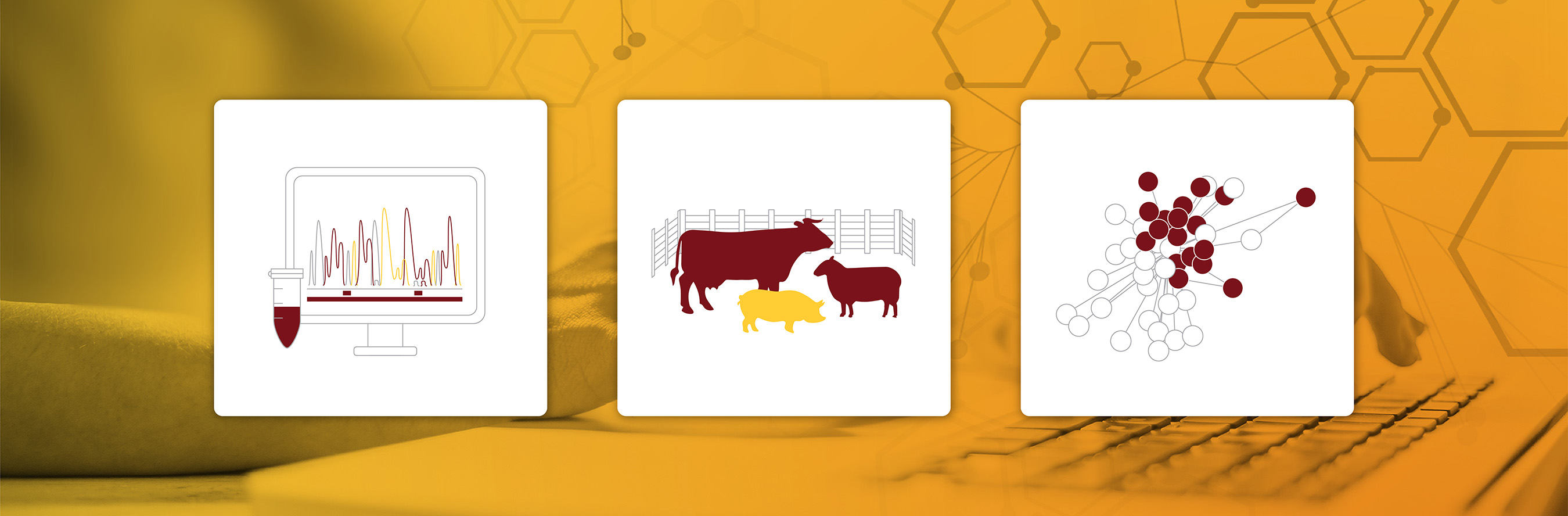 Specialist training software for advanced methods project banner image